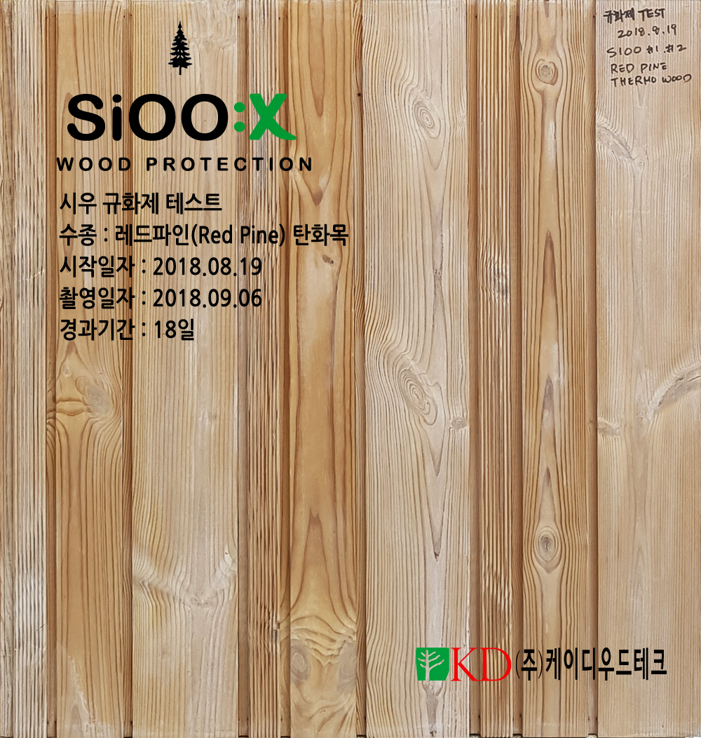 탄화목20180906.jpg